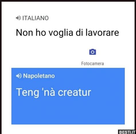 Non Ho Voglia BESTI It Immagini Divertenti Foto Barzellette Video