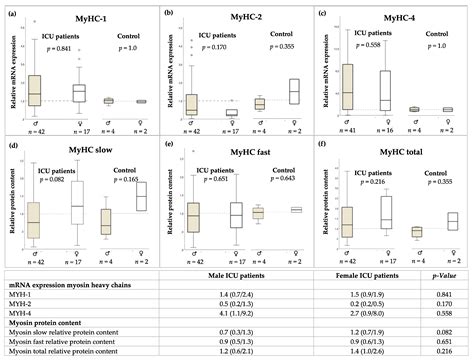 Jcm Free Full Text Sex Specific Aspects Of Skeletal Muscle