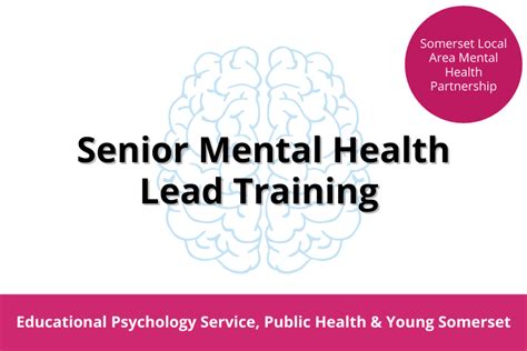 Senior Mental Health Lead Training Support Services For Education