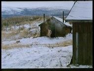 Leena Suomu Nude Pics Videos Sex Tape