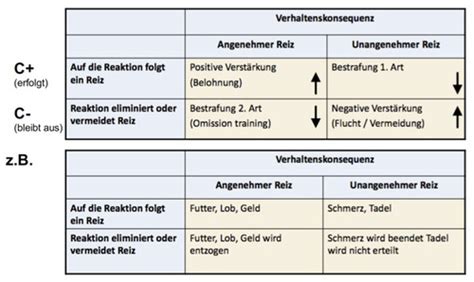 Allgemeine Ii Zusammenfassung Von Vinz Karteikarten Quizlet