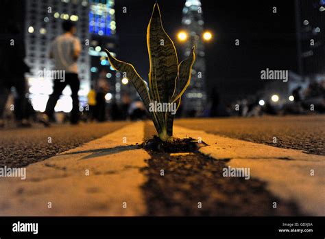 Pro Democracy Protests In Hong Kong Stock Photo Alamy