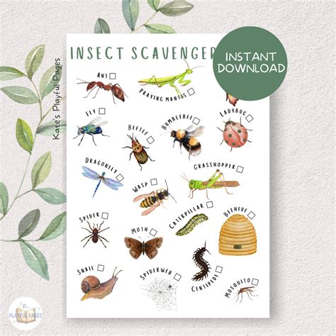 Insectnature Scavenger Hunt Printable Spring Bugs Outdoor Etsy