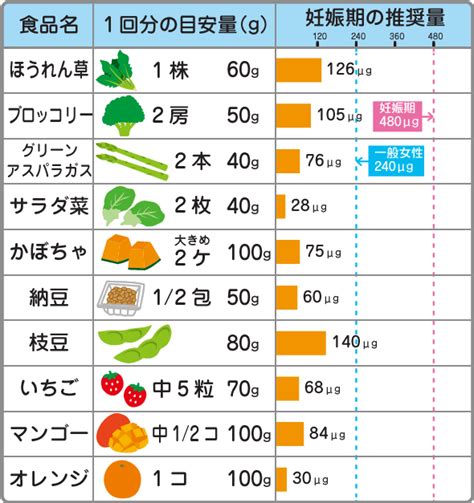 妊娠中（妊婦）の栄養と食事【ビタミン・葉酸】 妊娠・出産・育児パーク