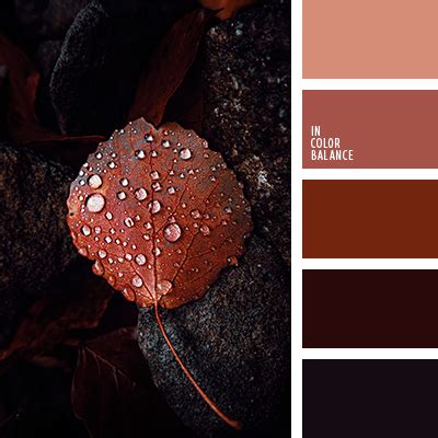 винный цвет | IN COLOR BALANCE
