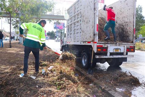 Levantan 115 toneladas de basura con jornadas de Sábado Verde BC