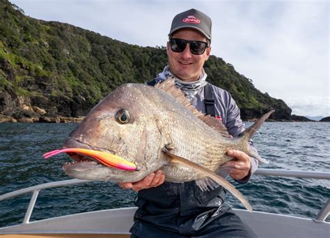 New Gulp Colours Go Nuclear On Mega Snapper Hauraki Gulf Fishing