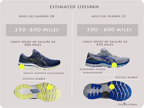 Asics Kayano 28 VS Nimbus 23 Which One is Right for You? Explained