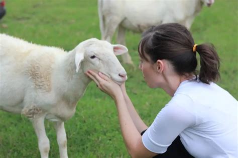 Goat Diseases & Health Conditions (2020): Complete Farmer’s Guide to ...