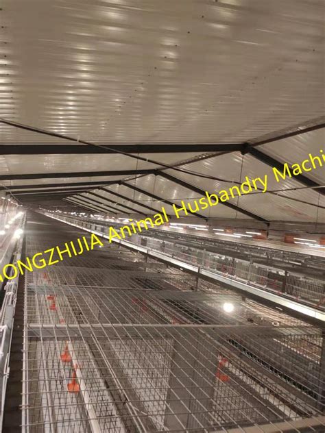 H Type Tiers Tiers Broiler Chicken Feeding Cages Broiler Poultry