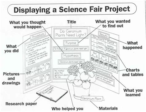 Example Science Fair Research Paper