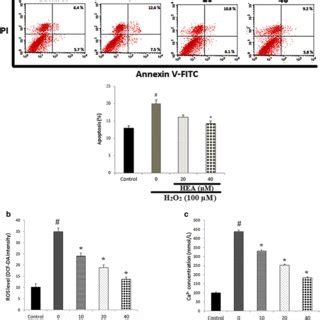 Flow Cytometric Analysis Of The Effect Of TSG On MPP Induced