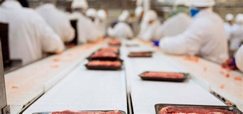 En Tampa Buscan Personas Sin Experiencia Para Empaquetar Carnes