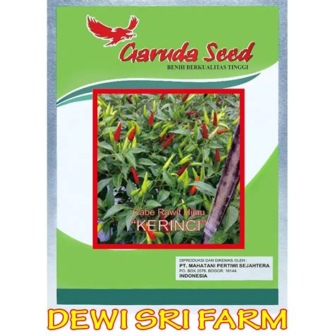 Jual Isi 10gram Benih Bibit Cabe Rawit Hijau Super Unggul KERINCI