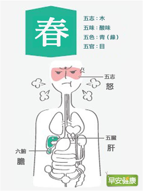 春天順勢養肝，助代謝防婦科病！中醫：走春是最好的補藥