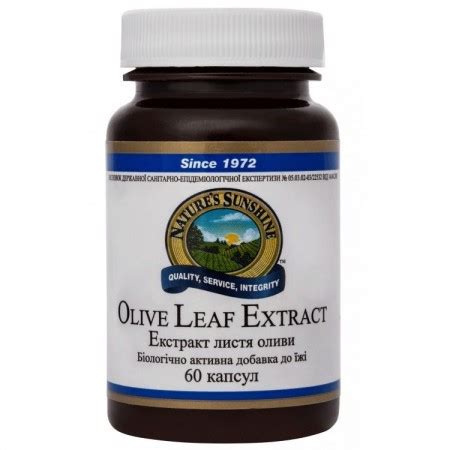 Экстракт Листьев Оливы - Olive Leaf Extract 60 капс купить, цена ...