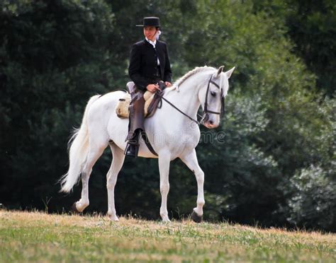 Spanish Woman Riding a Horse Editorial Photography - Image of festivity ...