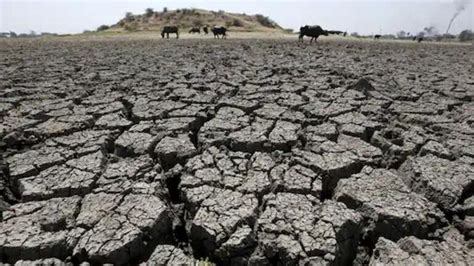 Centre Denied Gujarat Rs 3370cr Relief For 2018 Drought Govt India News