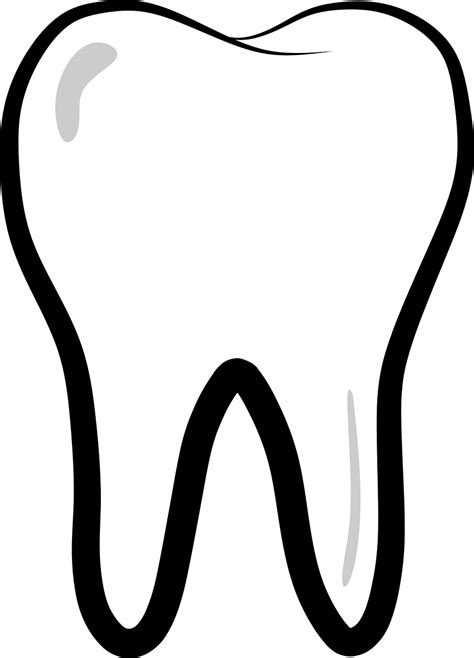 Dent Docteur Dentiste Les Images Vectorielles Gratuites Sur Pixabay