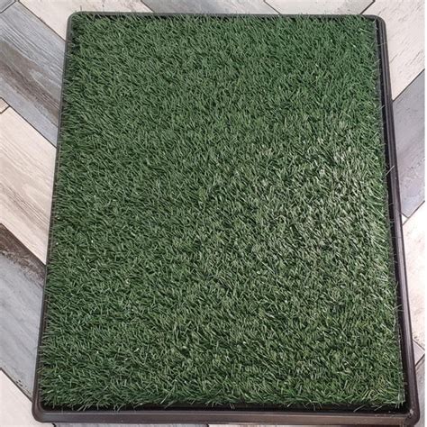 Tucker Murphy Pet™ Chamroeun 30x20 Inch Fake Grass Pee For Dog