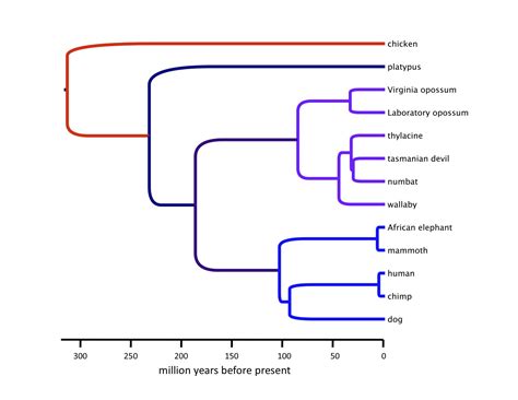 Thylacine Sequencing Project at PSU