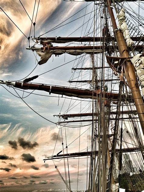 Bark Europa Breathtakingly Photographed By Jeffry Oonk