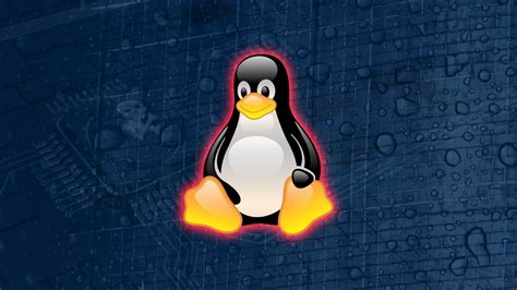 Dos Graves Vulnerabilidades En Linux Escalada De Privilegios Y Puerta