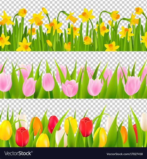 tulip clipart border 10 free Cliparts | Download images on Clipground 2024