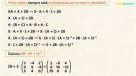 Ecuaciones Matriciales De La Forma Ax B C Matem Ticas Bachillerato