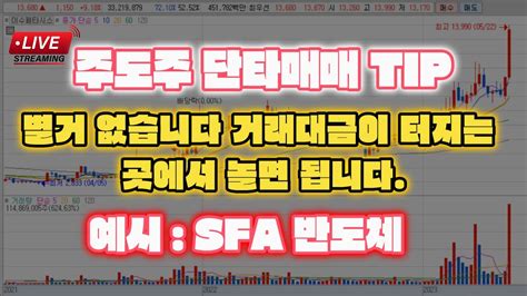 1212 당일 주도주 단타매매 Tip 실시간 실시간주식방송 주식 단타 주식강의 스켈핑 Youtube