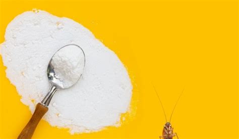 Does Baking Soda Kill Roaches And How Effective It Can Be