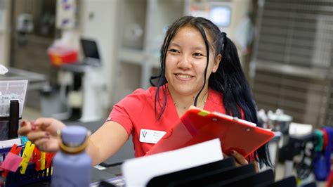 Class Of 2028 From Nc State Undergrad To Hospital Employee To Dvm