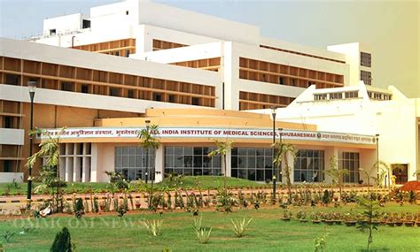 Aiims Bhubaneswar Signs Mou With Iit Bhubaneswar On Artificial