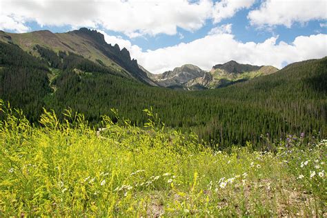 State Forest State Park Photograph By Aaron Spong Fine Art America