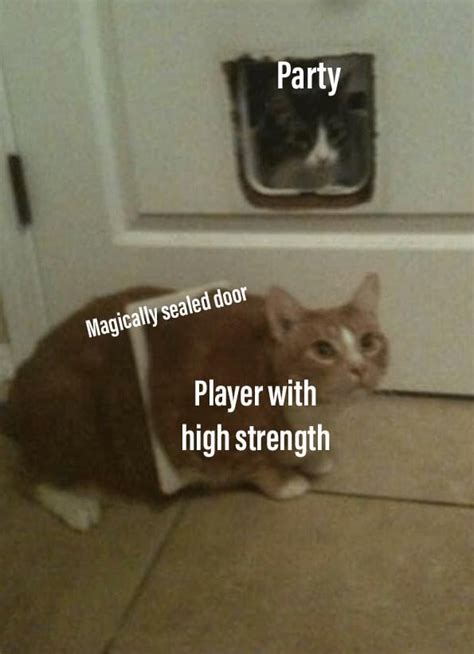 "If you roll a NAT 20-" : r/dndmemes