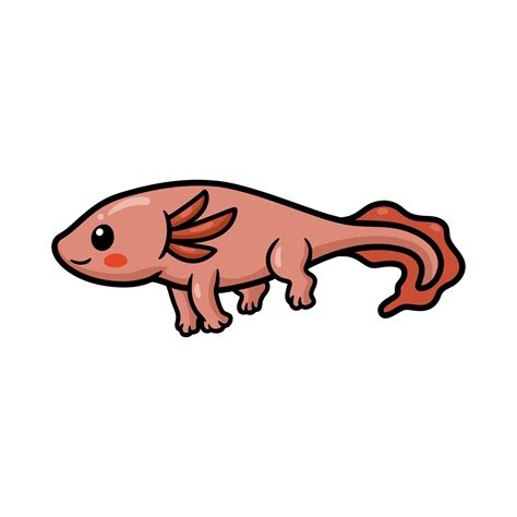 Cute Axolotl Cartoon Vector Illustration Vector Art At Vecteezy