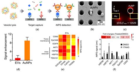 Nanomaterials Free Full Text Nanomaterials For Molecular Detection