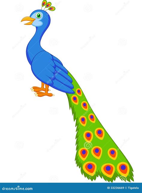 Cute Peacock Cartoon Stock Vector Illustration Of Feather 33236669