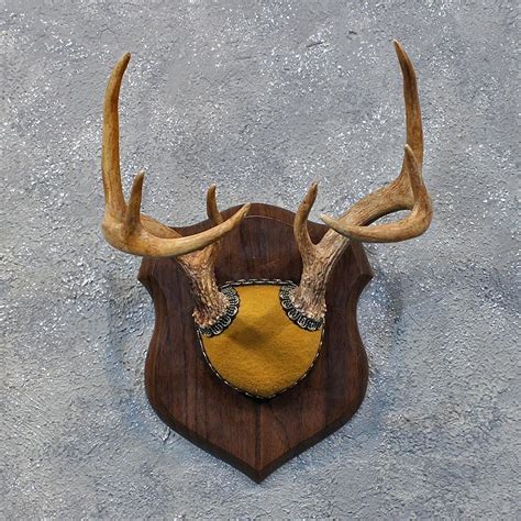 Whitetail Deer Antler Plaque 12167 The Taxidermy Store