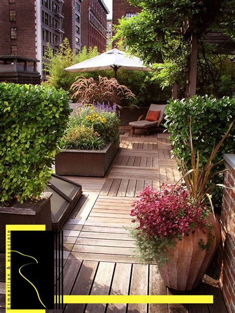 Roof Garden Plants – kki