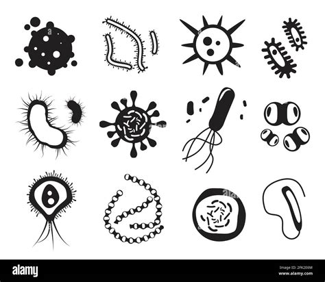 Biology Clipart Black And White