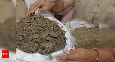 Ganja From Andhra Pradesh Being Sold Pan India And In Sri Lanka