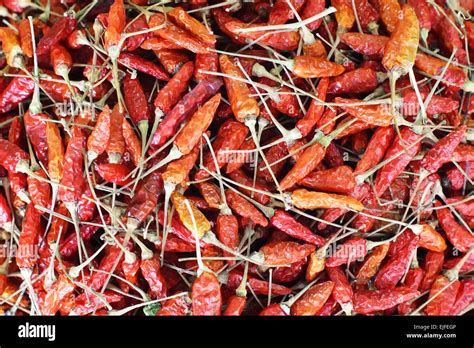 Dried Red Hot Chili As Background Stock Photo Alamy