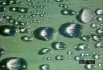 Radiant heat loss dew formation on a clear, still night | Britannica