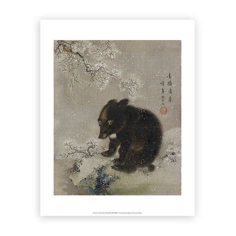 Black Bear Cub In Snow Print– Ashmolean Museum