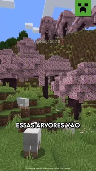 Novo Bioma De Cerejeiras No Minecraft 1 20 🌸🌺