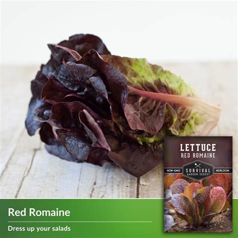 Semilla De Lechuga Romana Roja Para Plantar Paquete Con