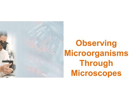 Observing Microorganisms Through Microscopes