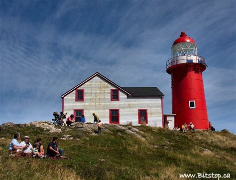 Bitstop: Ferryland Lighthouse Picnics