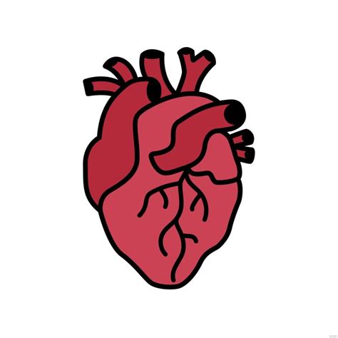 Simple Human Heart Clipart In Illustrator Svg  Eps Png